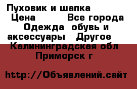 Пуховик и шапка  Adidas  › Цена ­ 100 - Все города Одежда, обувь и аксессуары » Другое   . Калининградская обл.,Приморск г.